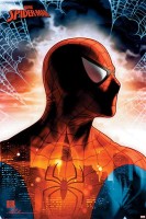 Poster_Marvel_Spider_Man_Protector_Of_The_City
