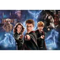 Trefl___The_Magic_World_of_Harry_Potter__160XL_